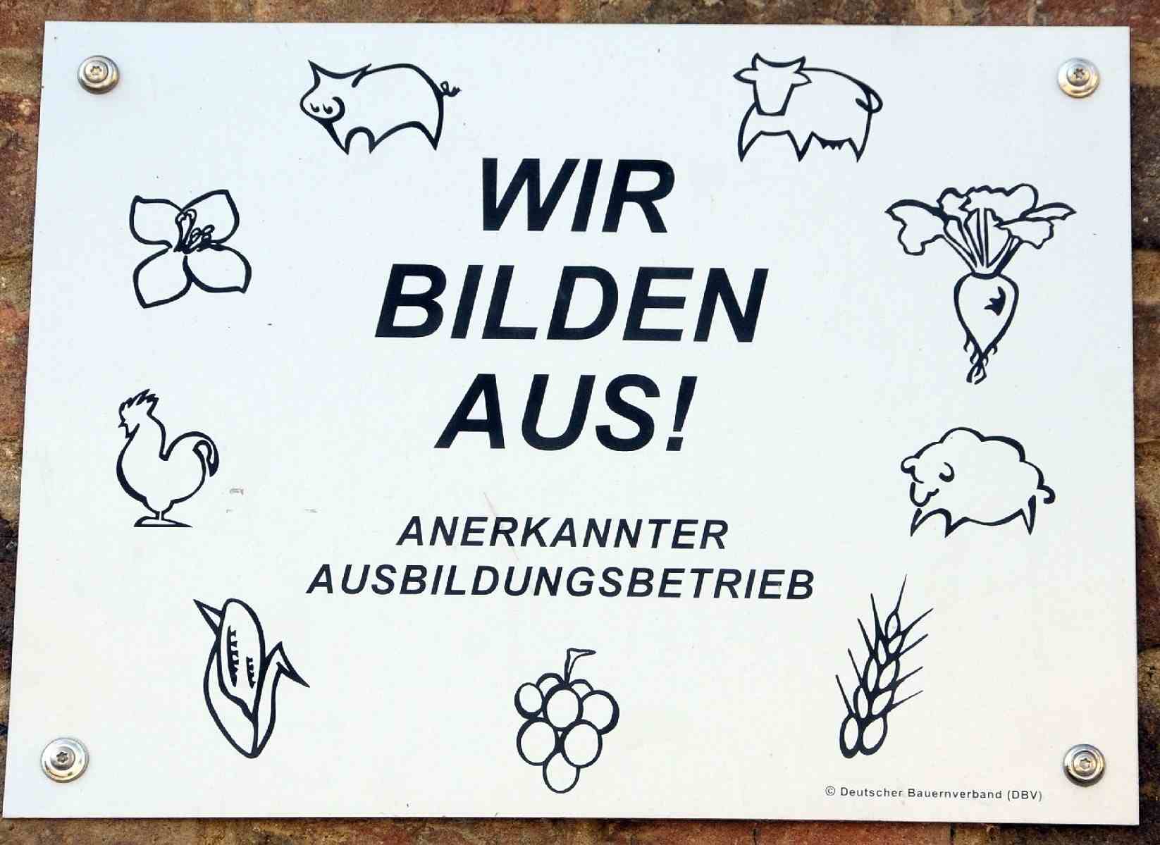 Ausbildungsfragen im Mittelpunkt